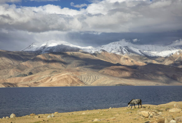 Voyage de Trek au Ladakh en hiver avec Karavaniers. Circuit de randonnée et de trek en petit groupe.