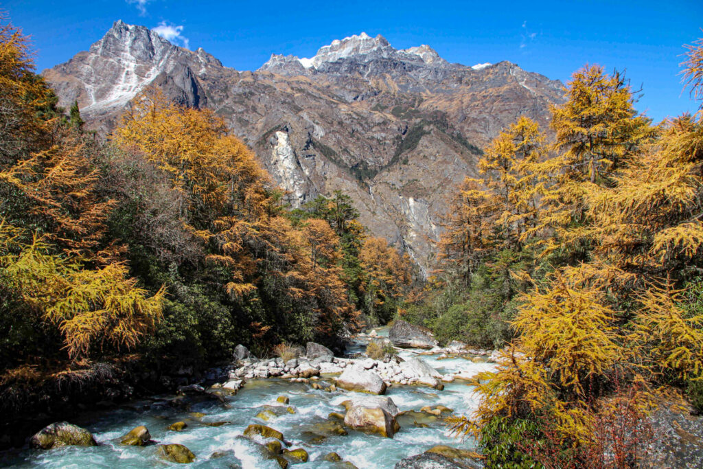 Une rivière limpide coule dans une vallée rocheuse entourée d'arbres automnaux au feuillage orange et jaune, sous d'imposants sommets enneigés comme le Makalu et le Kangchenjunga, dans un ciel d'un bleu éclatant.